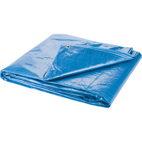 Tarp, Standard Duty, Blue, 7' x 5' x 4 mils M & M Nord Ouest Inc