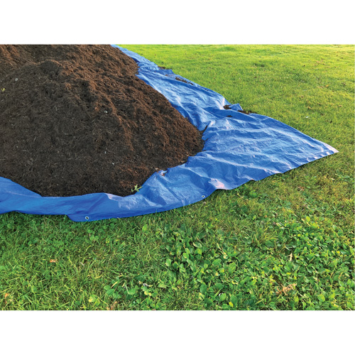 Tarp, Standard Duty, Blue, 7' x 5' x 4 mils M & M Nord Ouest Inc