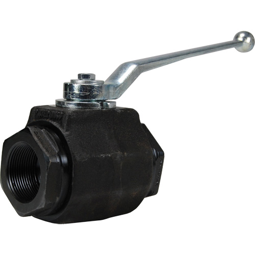 High Pressure Full-Bore Ball Valve, Steel, Manual, FNPT x FNPT M & M Nord Ouest Inc