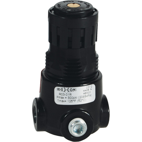 Wilkerson Miniature Regulator R03, 1/8" NPT, 300 psi Max. PSI, Standard M & M Nord Ouest Inc