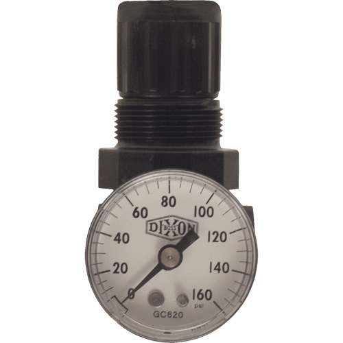Series 1 Miniature Regulator, 1/8" NPT, 100 psi Max. PSI, Standard M & M Nord Ouest Inc