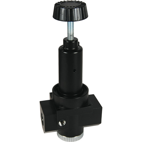 Wilkerson High Flow Regulator R30, 3/4" NPT, 300 psi Max. PSI, Standard M & M Nord Ouest Inc