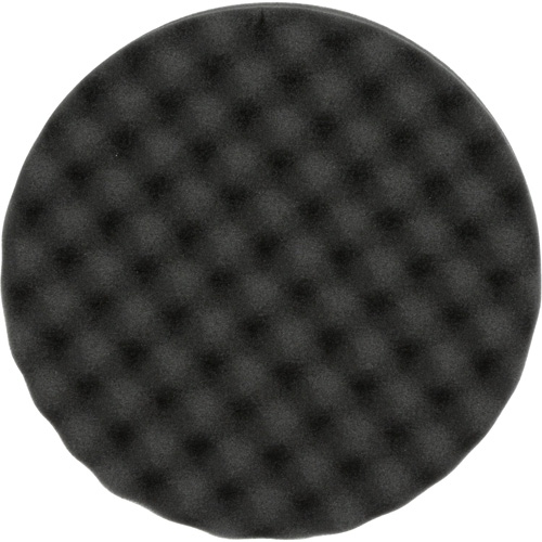 Polishing Pad, 8" dia., Foam M & M Nord Ouest Inc