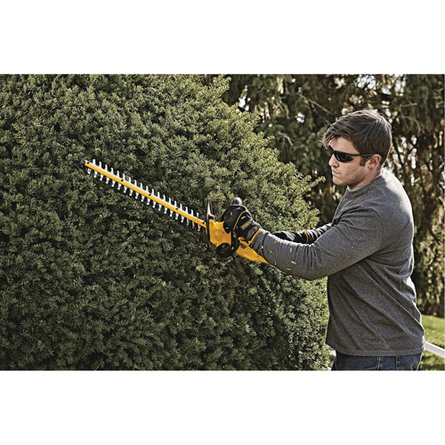 Taille-haie MAX*, 22", 20 V, &agrave; pile M & M Nord Ouest Inc
