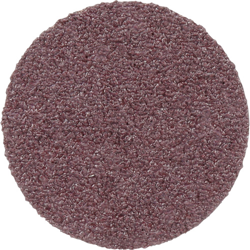 Meule en toile PSA 348D, 20" dia., Grain 60, Oxyde d'aluminium M & M Nord Ouest Inc