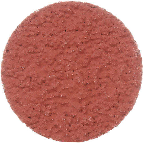 Cubitron II Roloc Durable Edge Disc, 2" Dia., 36+ Grit, Ceramic M & M Nord Ouest Inc