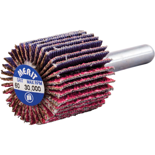 Shank Mounted Mini Flap Wheel, Ceramic Alumina, 60 Grit, 1" x 1" x 1/4" M & M Nord Ouest Inc