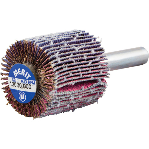 Mini-meule &agrave; lamelles mont&eacute;e sur tige, C&eacute;ramique d'alumine, Grain 120, 1" x 1" x 1/4" M & M Nord Ouest Inc