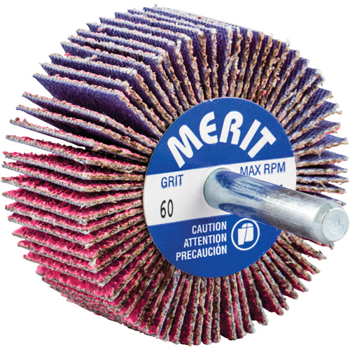 Shank Mounted Mini Flap Wheel, Ceramic Alumina, 60 Grit, 2" x 1" x 1/4" M & M Nord Ouest Inc