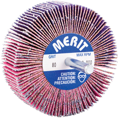 Mini-meule &agrave; lamelles mont&eacute;e sur tige, C&eacute;ramique d'alumine, Grain 80, 3" x 1" x 1/4" M & M Nord Ouest Inc
