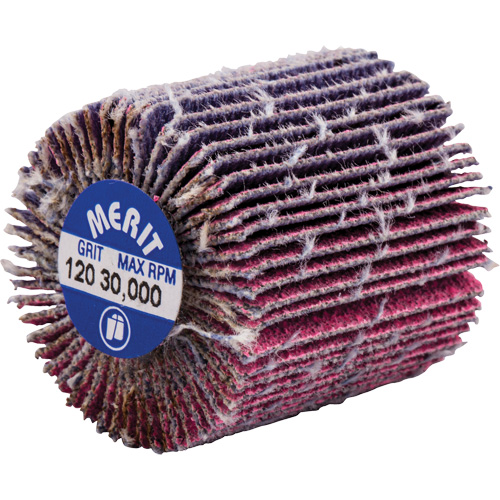 Threaded Mini Flap Wheel, Ceramic Alumina, 120 Grit, 1" x 1" x 1/4"-20 M & M Nord Ouest Inc