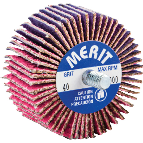 Mini-meule &agrave; lamelles filet&eacute;es, C&eacute;ramique d'alumine, Grain 40, 2" x 1" x 1/4"-20 M & M Nord Ouest Inc