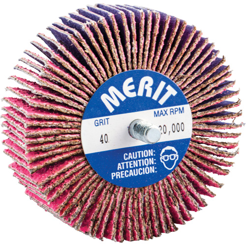 Threaded Mini Flap Wheel, Ceramic Alumina, 40 Grit, 3" x 1" x 1/4"-20 M & M Nord Ouest Inc