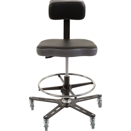Chaise ergonomique industrielle TF160, Mobile, Ajustable Hauteur, Capacit&eacute; 300 lb M & M Nord Ouest Inc