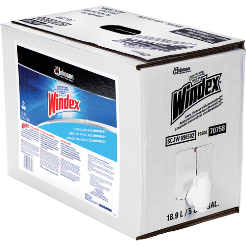 Windex&reg; Glass Cleaner with Ammonia-D&reg;, 5 gal., Bag M & M Nord Ouest Inc