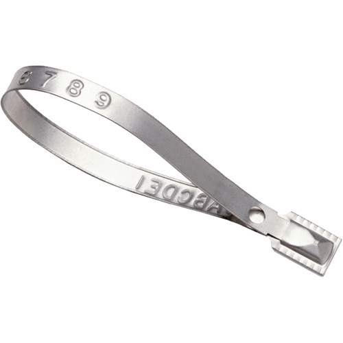 Scell&eacute;s Guard Lock, 8-3/8", M&eacute;tal, Scell&eacute; pour camion M & M Nord Ouest Inc