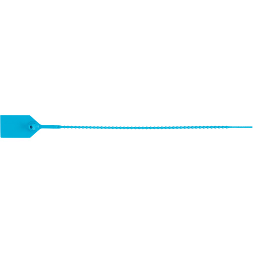 Scell&eacute; de s&eacute;curit&eacute; standard, 12", Plastique, Scell&eacute; en plastique M & M Nord Ouest Inc