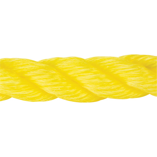 Corde jaune tress&eacute;e, Polypropyl&egrave;ne, 300' M & M Nord Ouest Inc