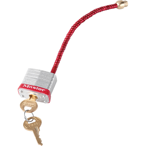 Switch Padlocks, Wall Switch Type M & M Nord Ouest Inc