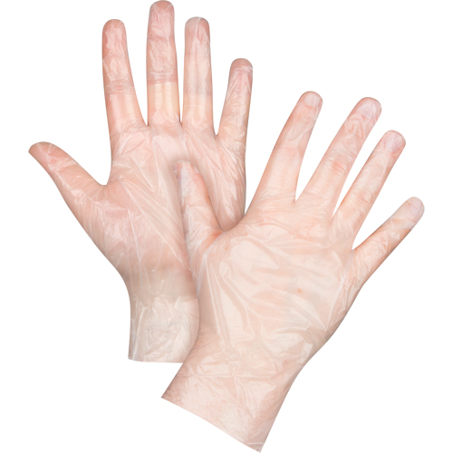 Gants jetables &eacute;conomiques, Grand, Poly&eacute;thyl&egrave;ne, 1 mil, Sans poudre, Transparent M & M Nord Ouest Inc