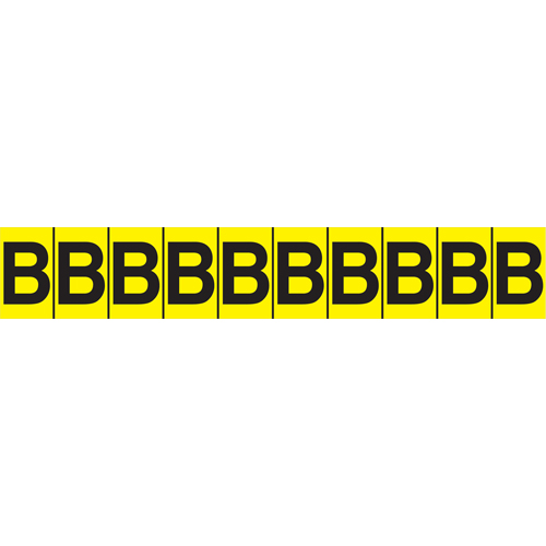 Rep&egrave;res adh&eacute;sifs &agrave; lettres individuelles, E, 1" h, Noir sur jaune M & M Nord Ouest Inc
