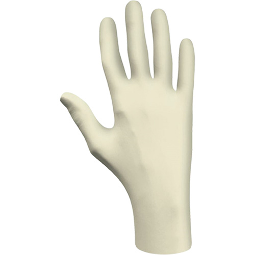Disposable Gloves, Large, Latex, 3-mil, Powder-Free, Natural, Class 2 M & M Nord Ouest Inc