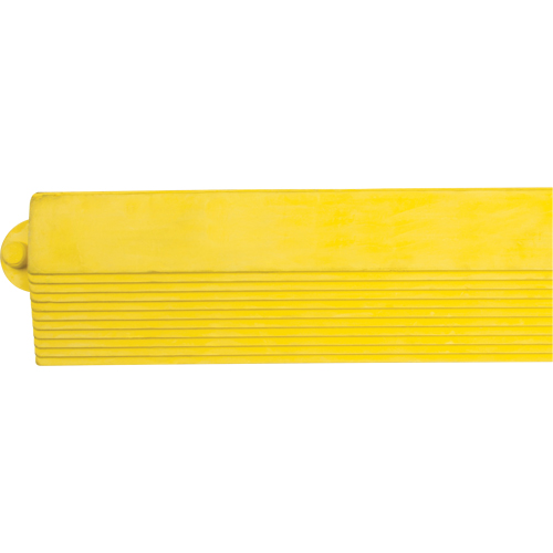 Rampe de bordure pour tapis M & M Nord Ouest Inc