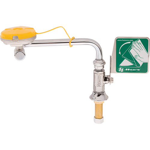 Axion&reg; Eye/Face Wash Station, Sink Mount Installation M & M Nord Ouest Inc