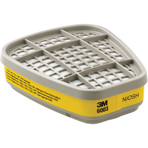 6000 Series Respirator Cartridges, Gas/Vapour Cartridge, Organic Vapour/Acid Gas M & M Nord Ouest Inc