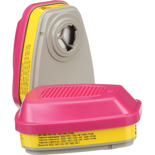 Cartouches pour respirateur s&eacute;rie 6000, Cartouche gaz/vapeur, Vapeurs organiques/Gaz acides/P100 M & M Nord Ouest Inc