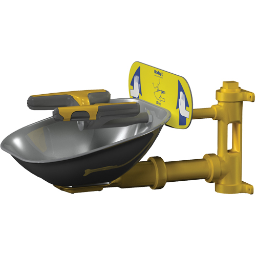 Postes de douche oculaire/faciale Halo, Installation Montage mural, Bol Acier inoxydable M & M Nord Ouest Inc