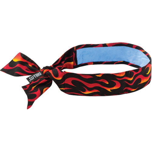 Foulards 6700CT de refroidissement en tissu de serviette Chill-Its, Multicolore M & M Nord Ouest Inc