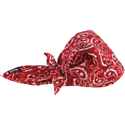 Chill-Its&reg; 6710CT Cooling Triangle Hats, Red M & M Nord Ouest Inc