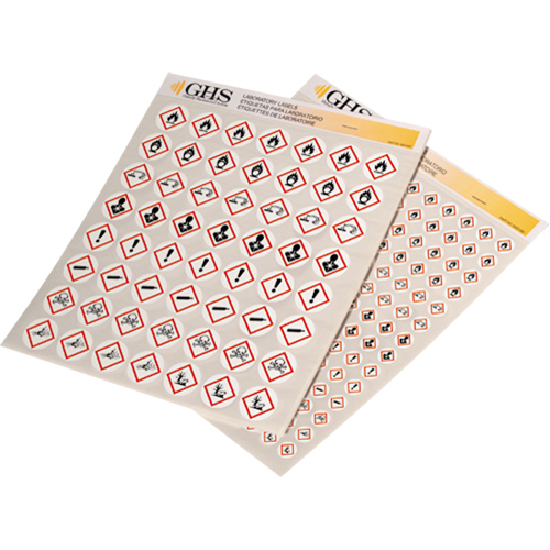 GHS Hazard Pictogram Label Variety Packs, Vinyl, Sheet, 1" L x 1" W M & M Nord Ouest Inc