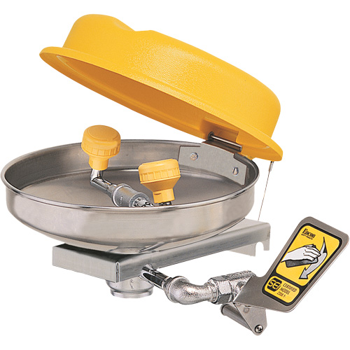 Eyewash Station, Wall-Mount Installation, Stainless Steel Bowl M & M Nord Ouest Inc