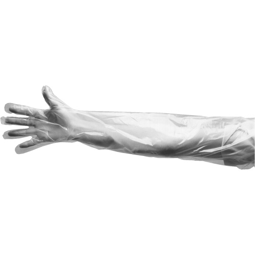 Gants jetables, Grand, Poly&eacute;thyl&egrave;ne, 9 mils, Poudr&eacute;s, Transparent M & M Nord Ouest Inc
