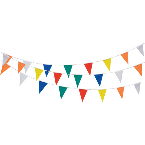 Pennant String, 60' L, Multicolour M & M Nord Ouest Inc