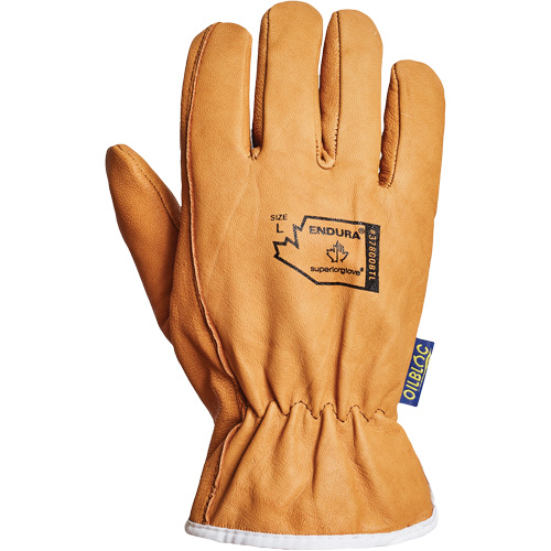 Gants de conducteur Endura, Petit, Paume en Cuir fleur de ch&egrave;vre, Thinsulate M & M Nord Ouest Inc