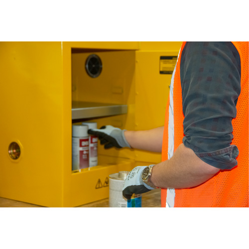 Flammable Storage Cabinet, 4 gal., 1 Door, 17" W x 22" H x 18" D M & M Nord Ouest Inc