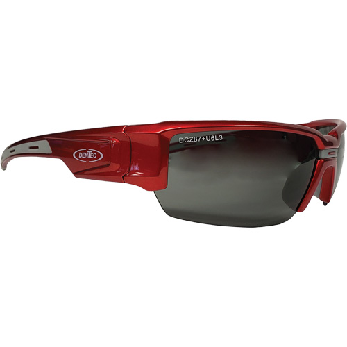 Lunettes de s&eacute;curit&eacute; Hartley, Lentille Gris, Polaris&eacute;, R&eacute;pond ou surpasse la norme CSA Z94.3 M & M Nord Ouest Inc