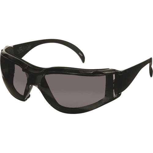 Lunettes de s&eacute;curit&eacute; CeeTec DX, Lentille Gris, Antibu&eacute;e/Anti-&eacute;gratignures, R&eacute;pond ou surpasse la norme CSA Z94.3 M & M Nord Ouest Inc