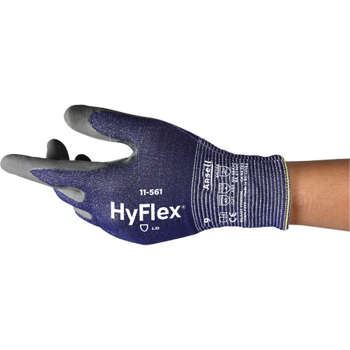 Gants r&eacute;sistants aux coupures HyFlex 11-561, Taille 5, Calibre 15, Rev&ecirc;tement Nitrile, Enveloppe en Intercept, EN 388 niveau C M & M Nord Ouest Inc