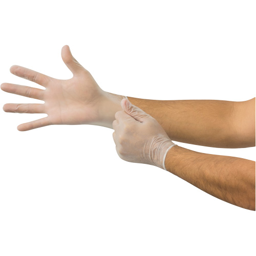 Gants jetables Derma Free MICROFLEX DF-850, 8,5/9/Grand, Vinyle, 3,1 mils/3,5 mils, Sans poudre, Transparent, Classe 2 M & M Nord Ouest Inc