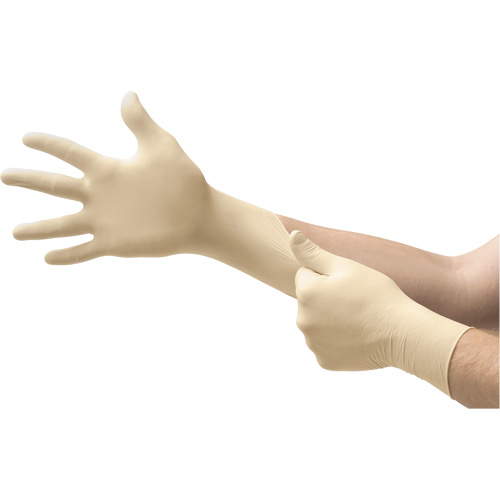 Gants d'examen MICROFLEX Ultra One, 10/9,5/T-Grand, Latex, 9,8 mils, Sans poudre, Naturel, Classe 2 M & M Nord Ouest Inc
