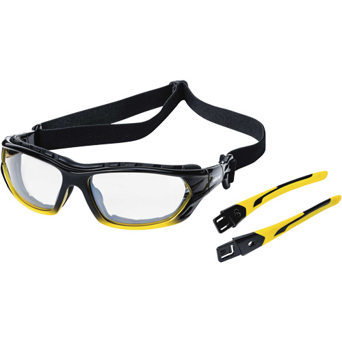 XPS530 Sealed Safety Glasses, Indoor/Outdoor Lens, Anti-Scratch, ANSI Z87+/Meets/Exceeds CSA Z94.3 M & M Nord Ouest Inc