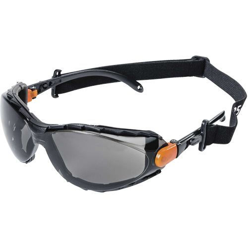 XPS502 Sealed Safety Glasses, Smoke Lens, Anti-Fog/Anti-Scratch M & M Nord Ouest Inc