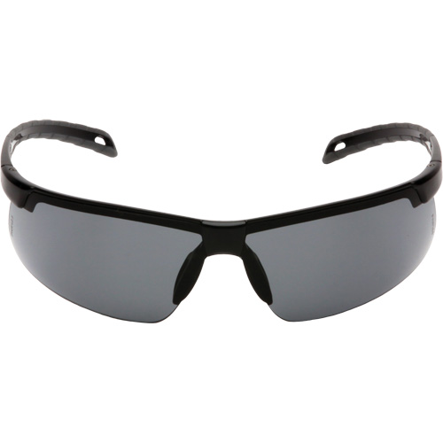 Ever-Lite&reg; Safety Glasses, Grey Lens, Anti-Fog, ANSI Z87+/Meets/Exceeds CSA Z94.3 M & M Nord Ouest Inc