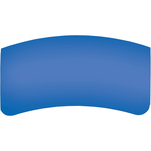 Bullard GenVX PETG Outer Lens M & M Nord Ouest Inc