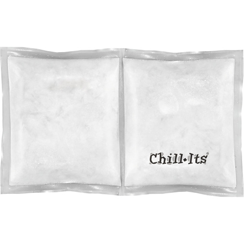 Chill-Its 6283 Rechargeable Phase Change Pack M & M Nord Ouest Inc