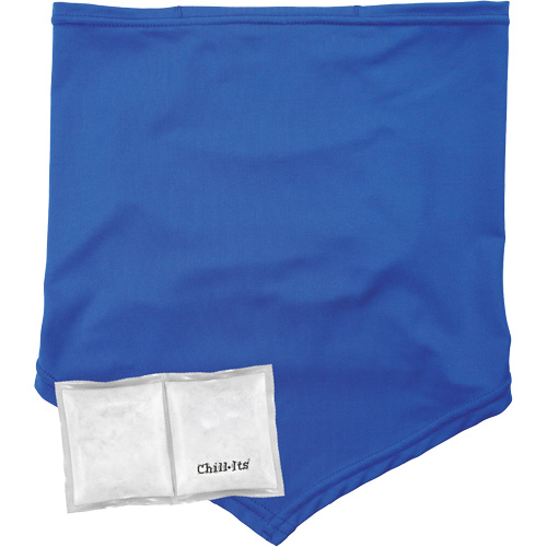 Cache-cou/bandana de refroidissement Chill-Its 6482 avec sachet r&eacute;frig&eacute;rant &agrave; changement de phase r&eacute;utilisable, grand/tr&egrave;s-grand, Bleu M & M Nord Ouest Inc